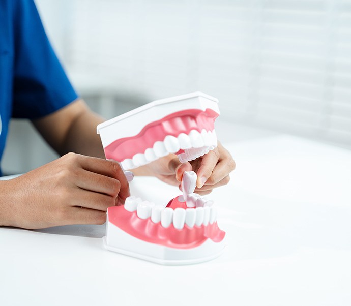 Dental assistant showing tooth extraction on model of mouth